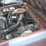 DSC_1464_zps0eeb2fbb