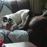 IMAG0417_zps9dsyijln