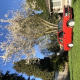 977DD8DD-9E6D-44DE-B539-7BFC2327F1B9