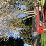 E67BB25B-A85C-4E5E-8BD2-4B030282500E