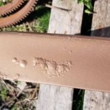 165046071_279285080412357_1862505636062670987_n